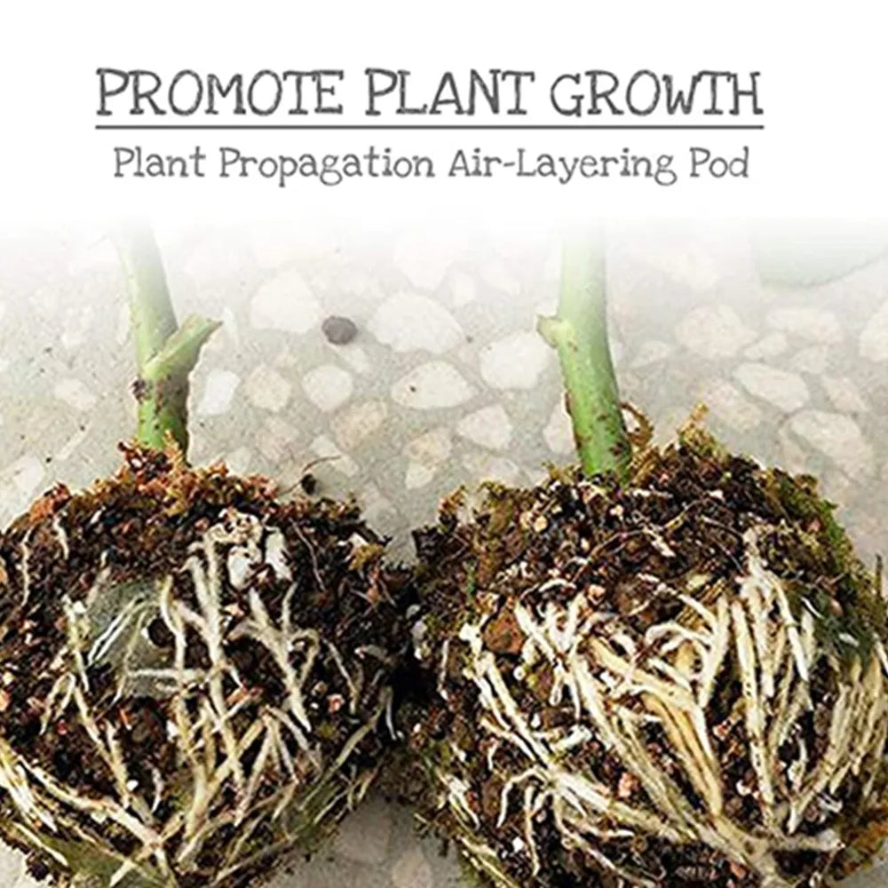 Reusable Plant Rooting Breeding Box